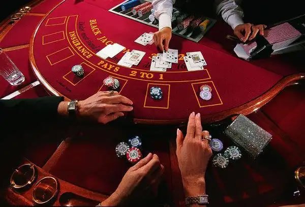Studio live dealer miquella dengan setup multi-camera, dealer profesional, dan interface betting real-time